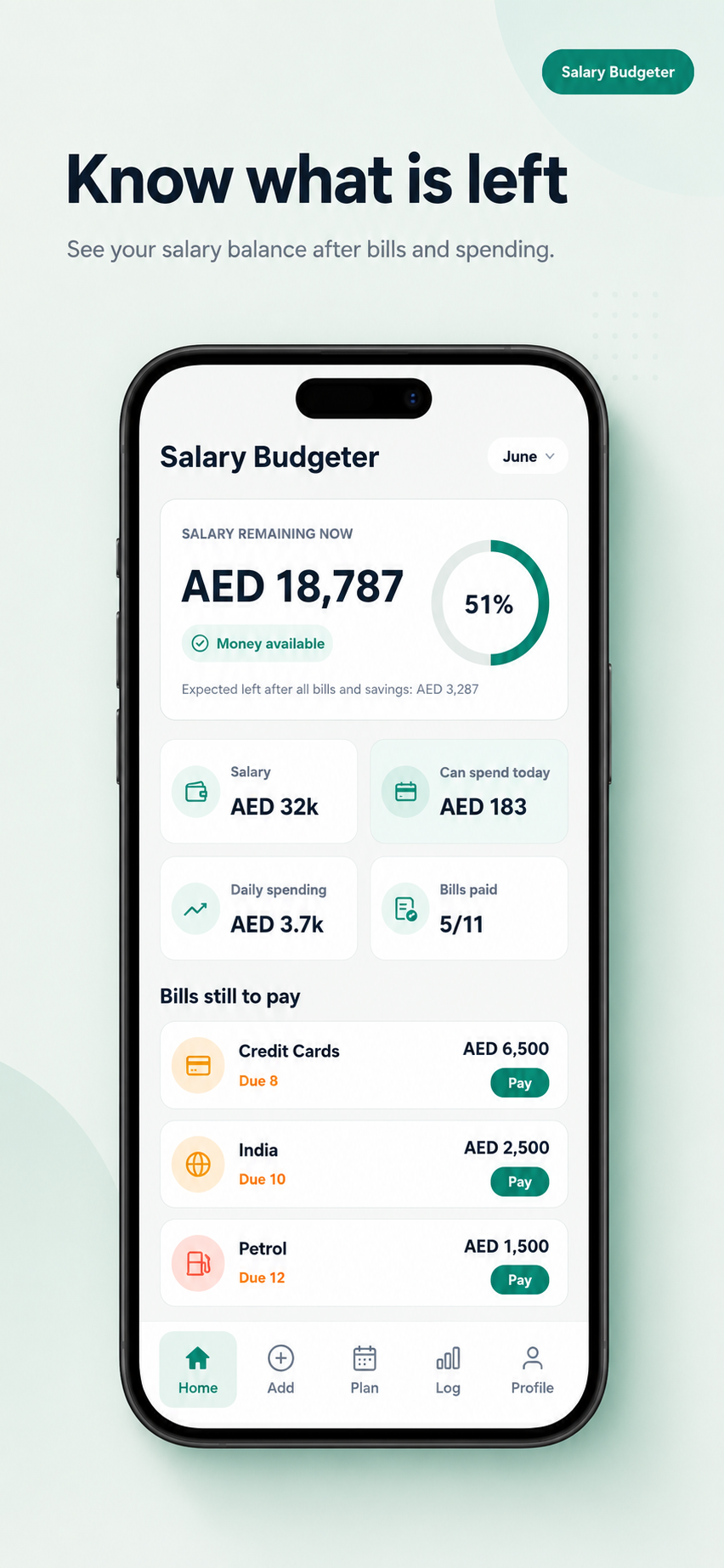 Monthli app salary balance screen